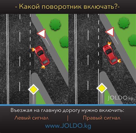 На что обратить внимание поклонникам Мота