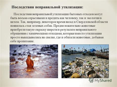 Негативные последствия неправильной утилизации мусора