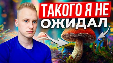 Незабываемый опыт в раю на третьем уровне