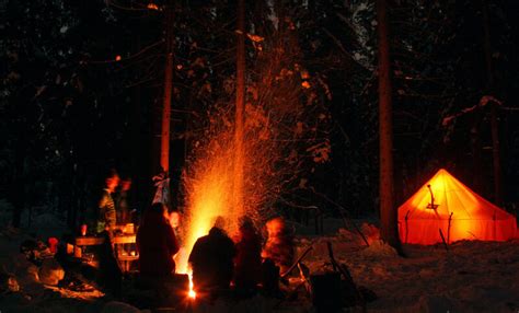 Ночевка в лесу: среди шума деревьев и света луны