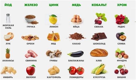 Нутриенты в ветках елки и их влияние