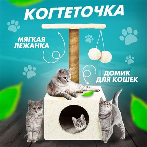Обеспечение котенка игрушками и забавами