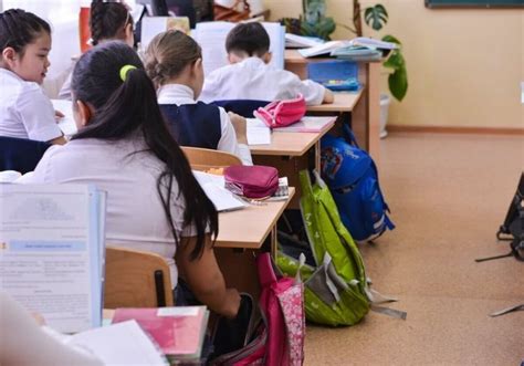 Обучение в специализированных курсах и школах