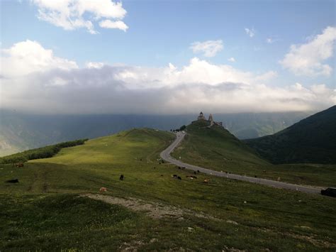 Опасный клоп: что нужно знать перед путешествием
