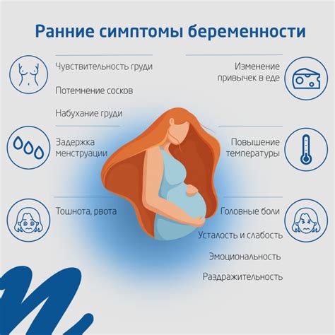 Определение стадий ранней беременности