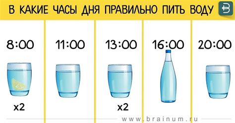 Оптимальное время для питья