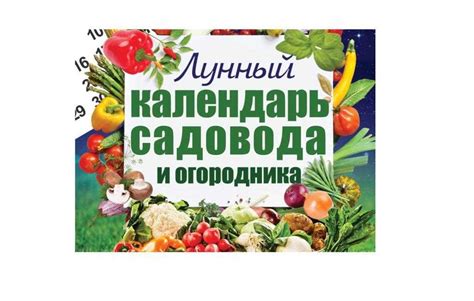 Оптимальное время для сбора цветов в зависимости от вида растений