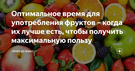 Оптимальное время употребления биойогурта с пробиотиками