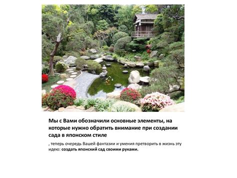 Основные шаги при создании трюфельного сада