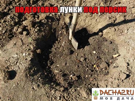 Особенности пересадки в осенний период