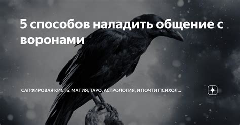 Особенности счастья с воронами