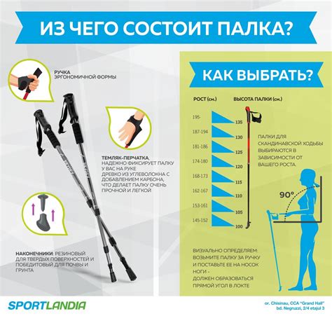 Особенности ходьбы и манеры движения у моделей