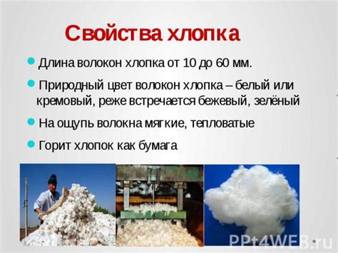 От измельчения до отделения волокон