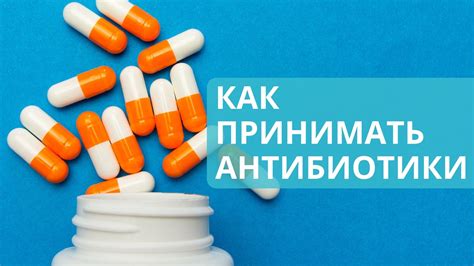 Пантогам до еды или после: в чем разница