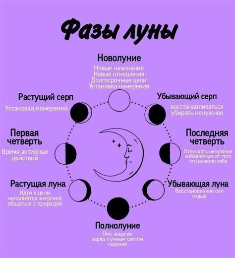 Паразиты и влияние на организм человека в различные фазы луны
