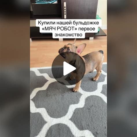 Первое знакомство с "Лигой мечтателей"