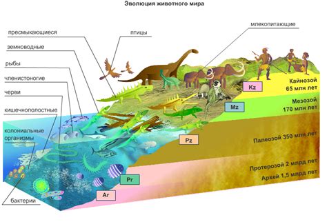 Первые примитивные организмы: начало эры