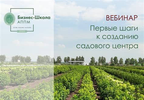 Первые шаги к созданию парка