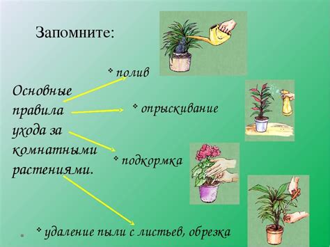 Планирование и уход за растениями