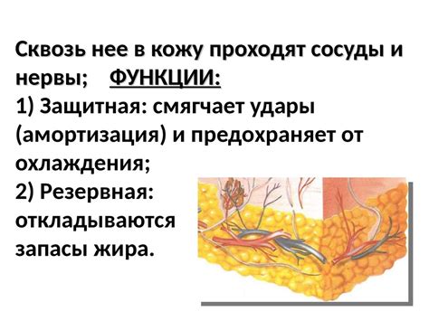 Пленка поглощает удары и смягчает падение