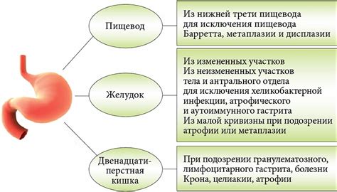 Повреждение слизистой оболочки горла и пищевода