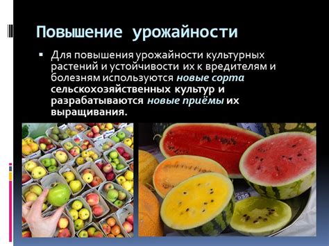 Повышение урожайности растений