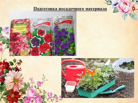 Подготовка к заготовке посадочного материала