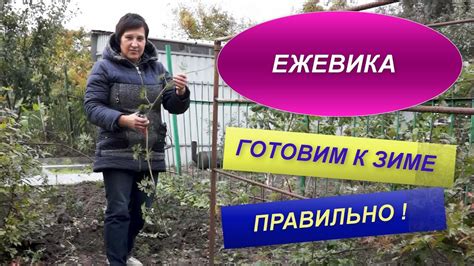 Подготовка мака к зиме