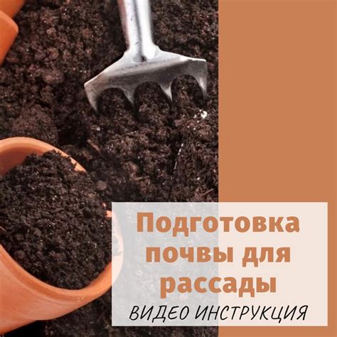 Подготовка почвы для посадки рассады
