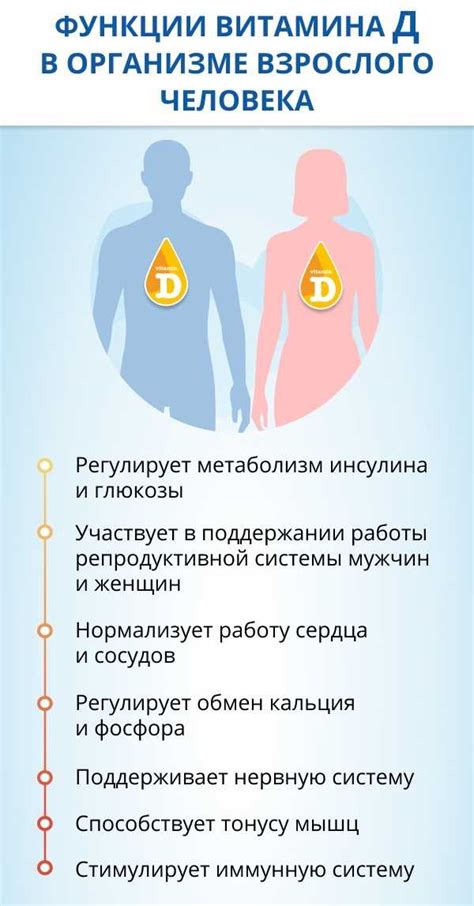 Поддержание здоровья костей