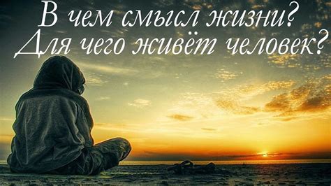 Поиск смысла в смерти и значимость момента