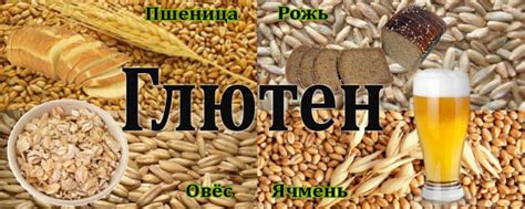 Полезность глютена для организма