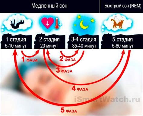 Полезные привычки времени сна и пробуждения