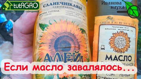 Полезные рекомендации и трюки