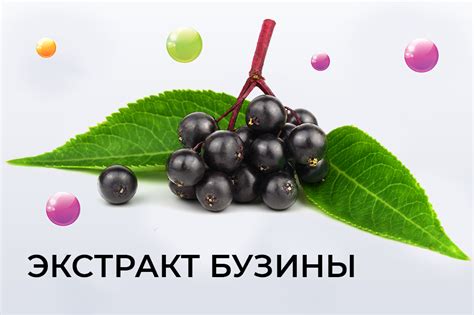 Полезные свойства мандаринок