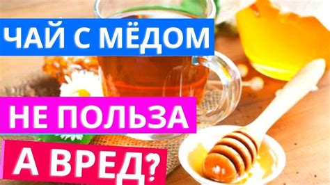 Полезные свойства меда при добавлении в чай