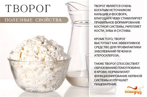 Полезные свойства подкисшего творога