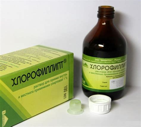 Полезные свойства хлорофиллипта спрея