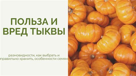 Польза и особенности приема запеченной тыквы перед сном