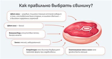 Польза молока свиньи для здоровья организма