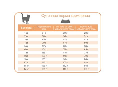 Польза сухого корма для кота