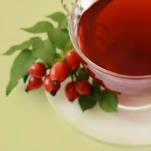 Польза чая из шиповника