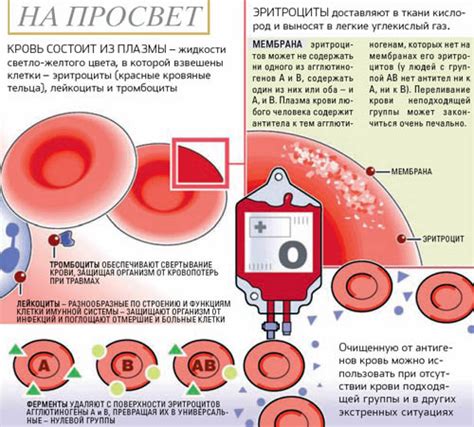 Понимание высокого давления и состава крови