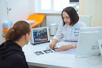 Понятие о желтом теле