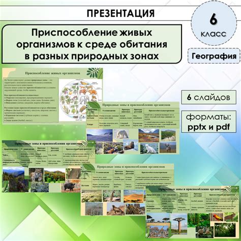 Популяция и приспособление: выживание в разных условиях