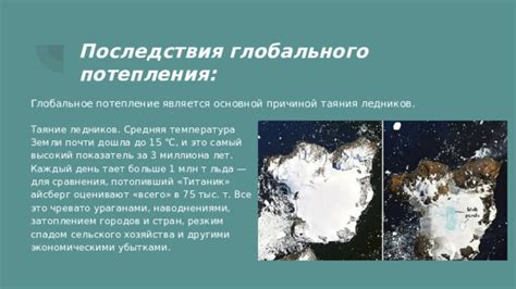 Последствия глобального потепления для деревьев
