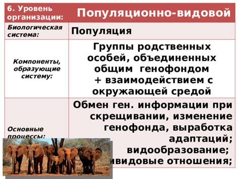 Последствия скрещивания родственных особей