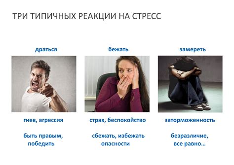 Постоянные конфликты и агрессия
