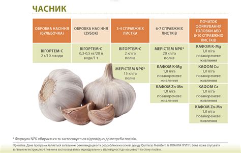 Потенциальные вредные эффекты чеснока при раке