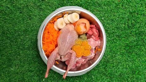 Потенциальные риски при сочетании чая и молока для собаки